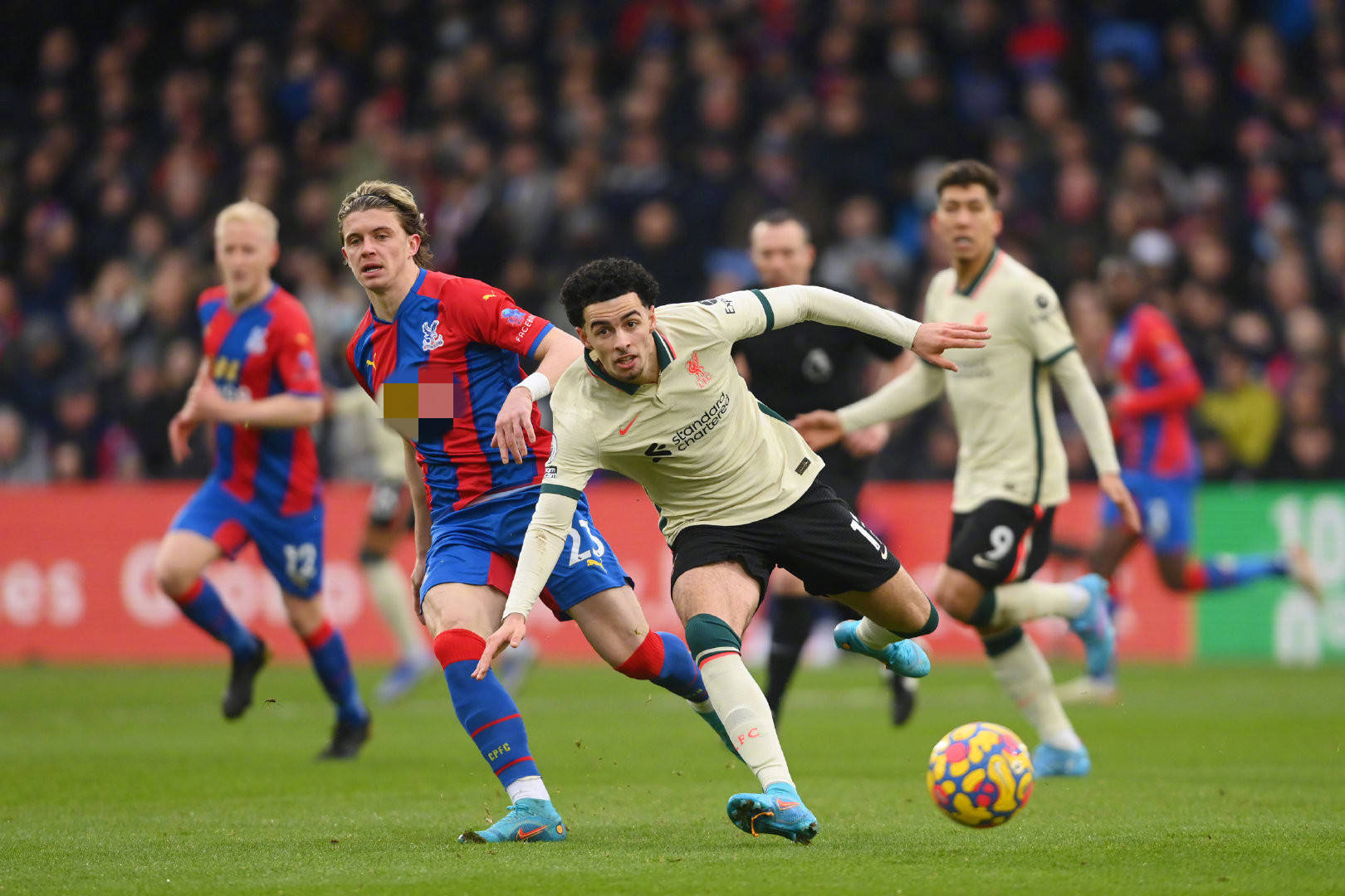 免疫力提升 免疫力提升