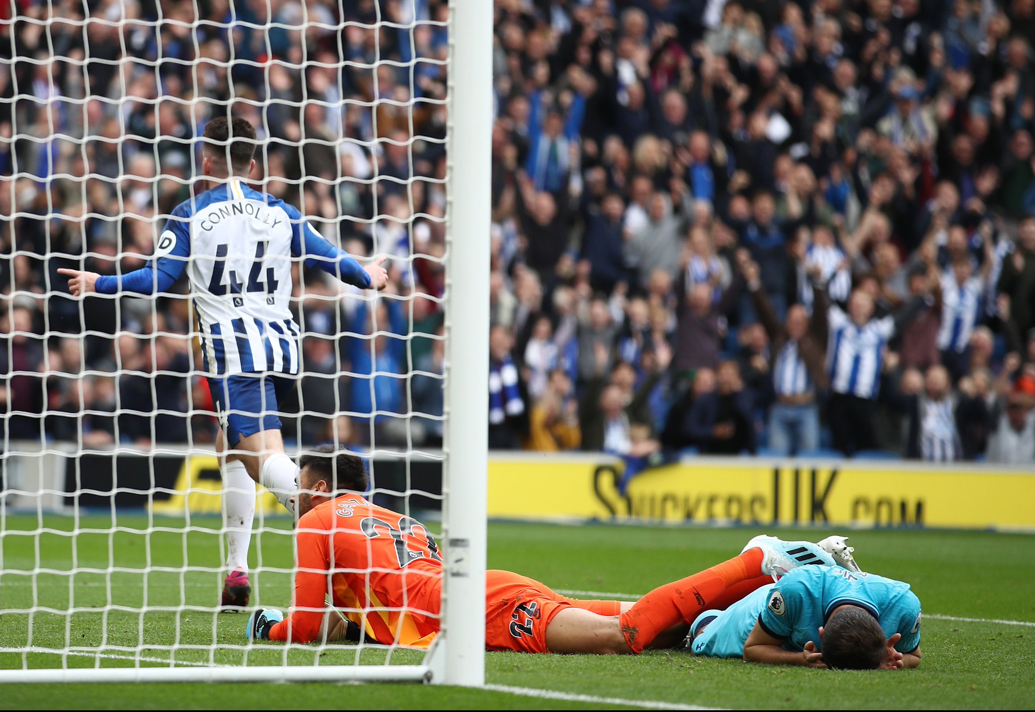 放和合作的 放和合作的